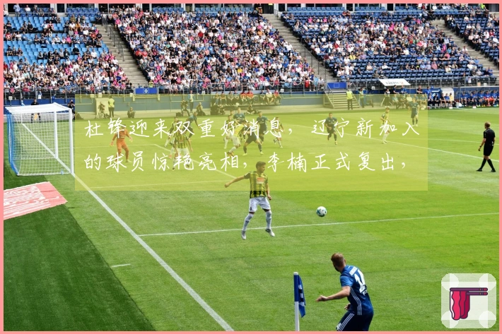 杜锋迎来双重好消息，辽宁新加入的球员惊艳亮相，李楠正式复出，黑马新援已就绪
