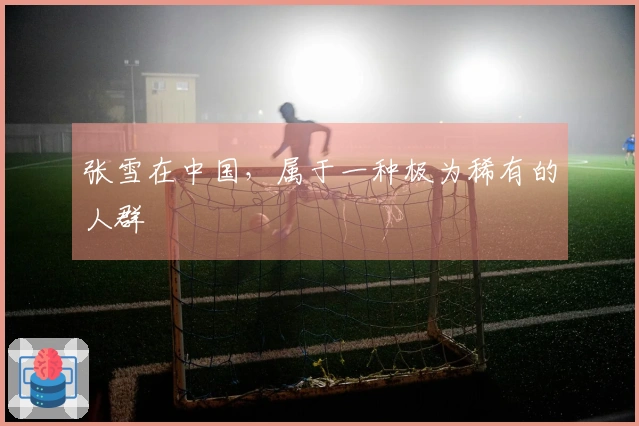 张雪在中国，属于一种极为稀有的人群